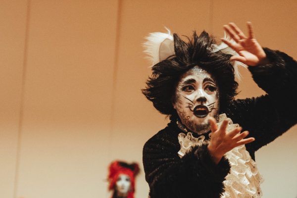 CATS, EL ICÓNICO MUSICAL DE BROADWAY, LLEGA A AMBATO CON TALENTO LOCAL